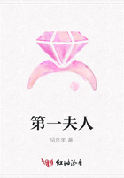 第一夫人在線閱讀