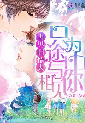 再见旧情人:只为途中与你相见在线阅读