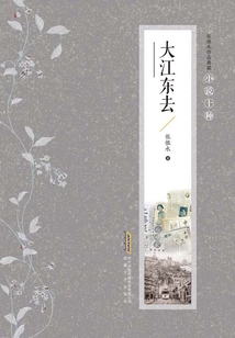 張恨水作品典藏·小說十種：大江東去
