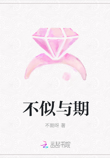 不似与期