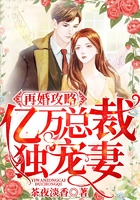 再婚攻略:亿万总裁独宠妻在线阅读