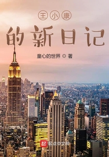 王小康的新日記