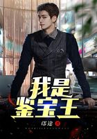 我是鉴宝王在线阅读
