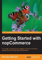 Getting Started with nopCommerce在线阅读