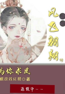 鳳飛翱翔兮，為你求凰