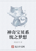神奇宝贝系统之梦想
