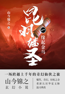 昆羽繼圣：緣起金烏3