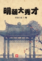 明朝大秀才在線閱讀