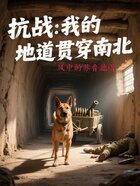 抗战：我的地道贯穿南北在线阅读