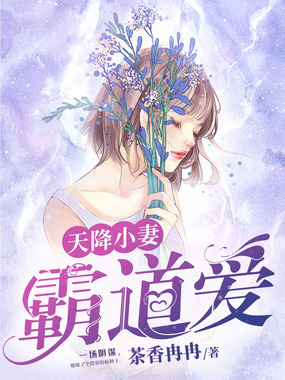 天降小妻霸道爱在线阅读