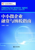 中小微企业融资与纳税指南（中小微企业管理丛书）