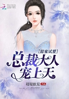 甜蜜試愛：總裁大人寵上天在線閱讀
