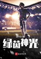 綠茵神光在線閱讀