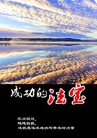 成功的法寶在線閱讀