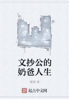 文抄公的奶爸人生在线阅读