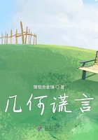 幾何謊言在線閱讀