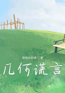 幾何謊言