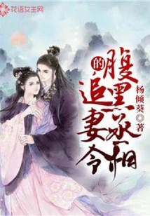 腹黑丞相的追妻令