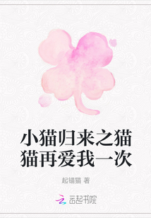 小貓歸來之貓貓再愛我一次