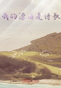 我的漂泊是詩歌