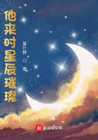 他来时星辰璀璨在线阅读