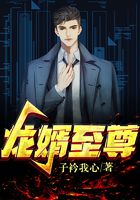 龙婿至尊在线阅读