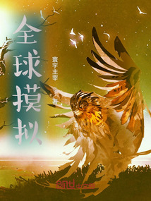 全球摸拟