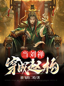 當劉禪穿成趙構