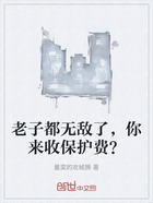 老子都无敌了,你来收保护费?在线阅读