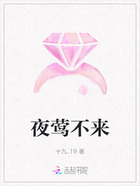 夜莺不来在线阅读