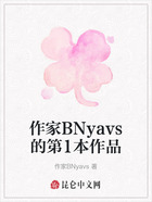 作家BNyavs的第1本作品在线阅读