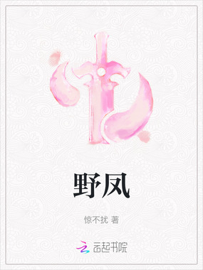 野凤在线阅读