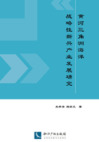 黄河三角洲海洋战略性新兴产业发展研究