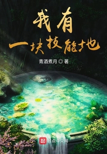 我有一塊技能地