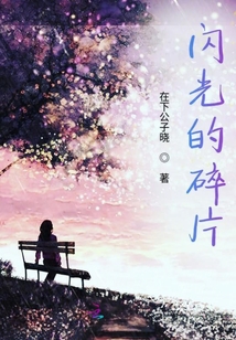 閃光的碎片