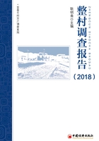 整村调查报告（2018）在线阅读