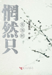 惘然只在當時