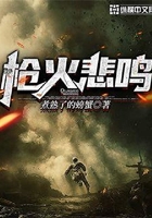 槍火悲鳴在線閱讀