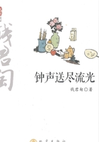 钟声送尽流光在线阅读
