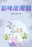 猫咪甜甜圈在线阅读