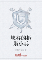 峡谷的拆塔小兵在线阅读