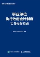 事业单位执行政府会计制度实务操作指南在线阅读