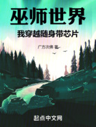 巫師世界，我穿越隨身帶芯片在線閱讀