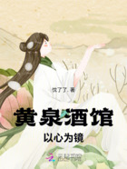 黄泉酒馆:以心为镜在线阅读