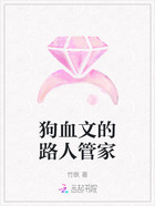 狗血文的路人管家在线阅读
