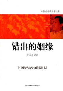 错出的姻缘(中国小小说名家档案)