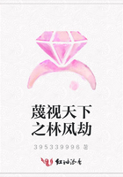 蔑視天下之林風劫在線閱讀