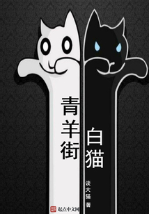 青羊街白貓