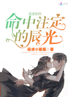 宠爱有佳:命中注定的辰光在线阅读