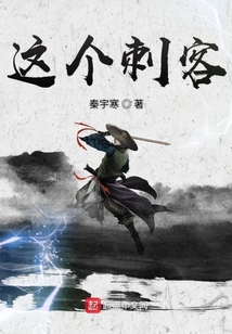这个刺客